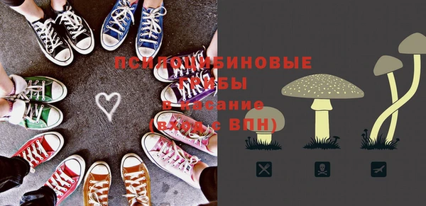 PSILOCYBIN Аркадак