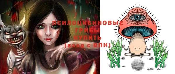 трава Арсеньев